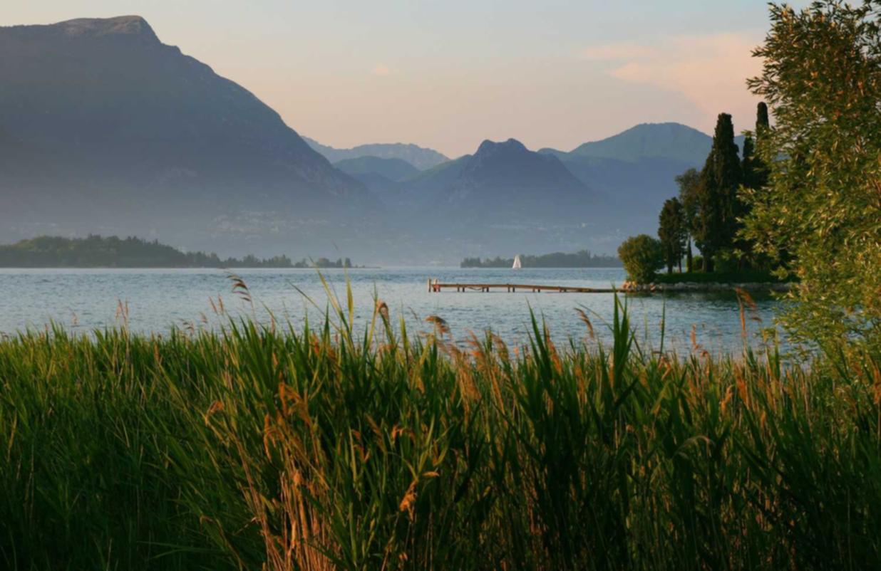 如何遏制技术支持的发展？