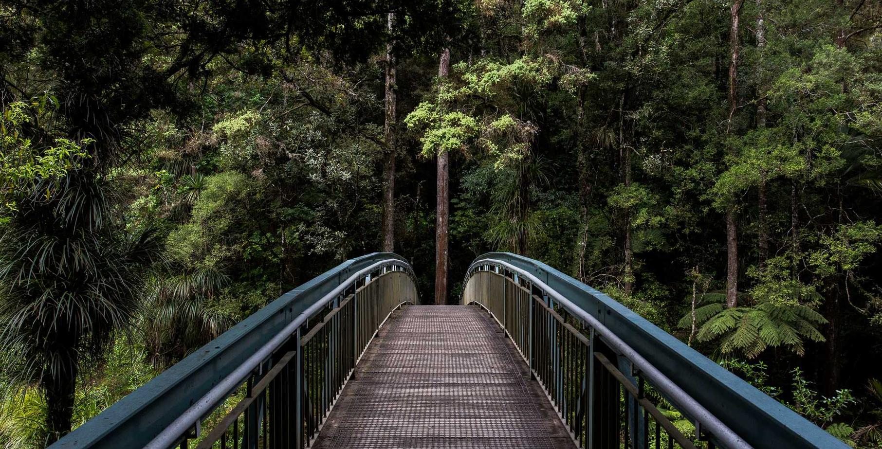 香烟和精神上的成瘾:如何克服香烟对精神上的成瘾