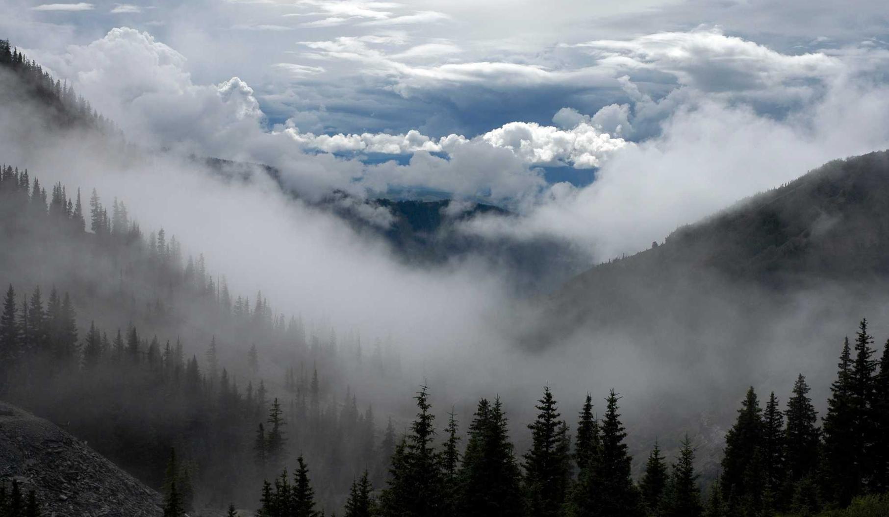 同一个账号注册两个qq