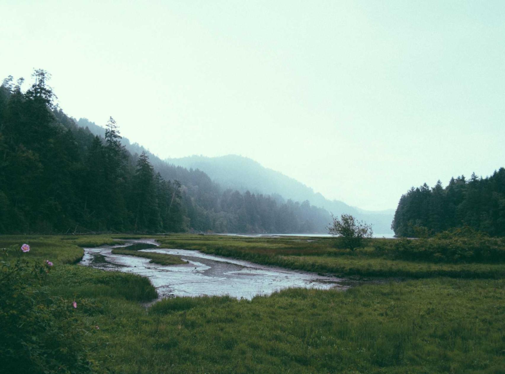 DDOS在线攻击平台|芜湖公司注册代理电话