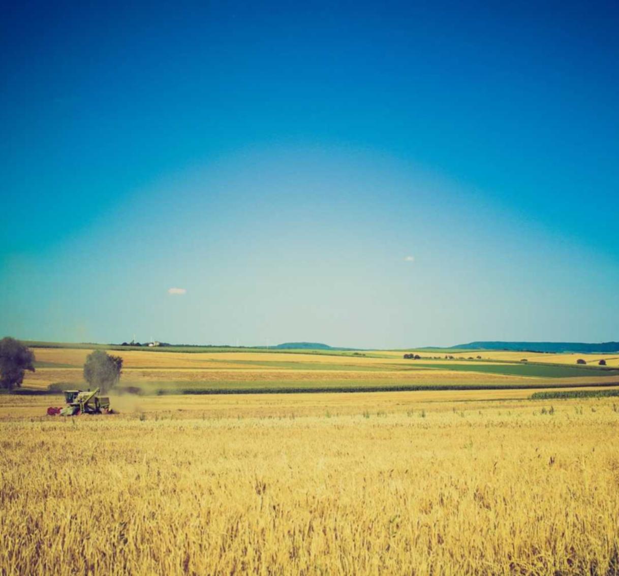 支付宝认证资料：天游平台开户送