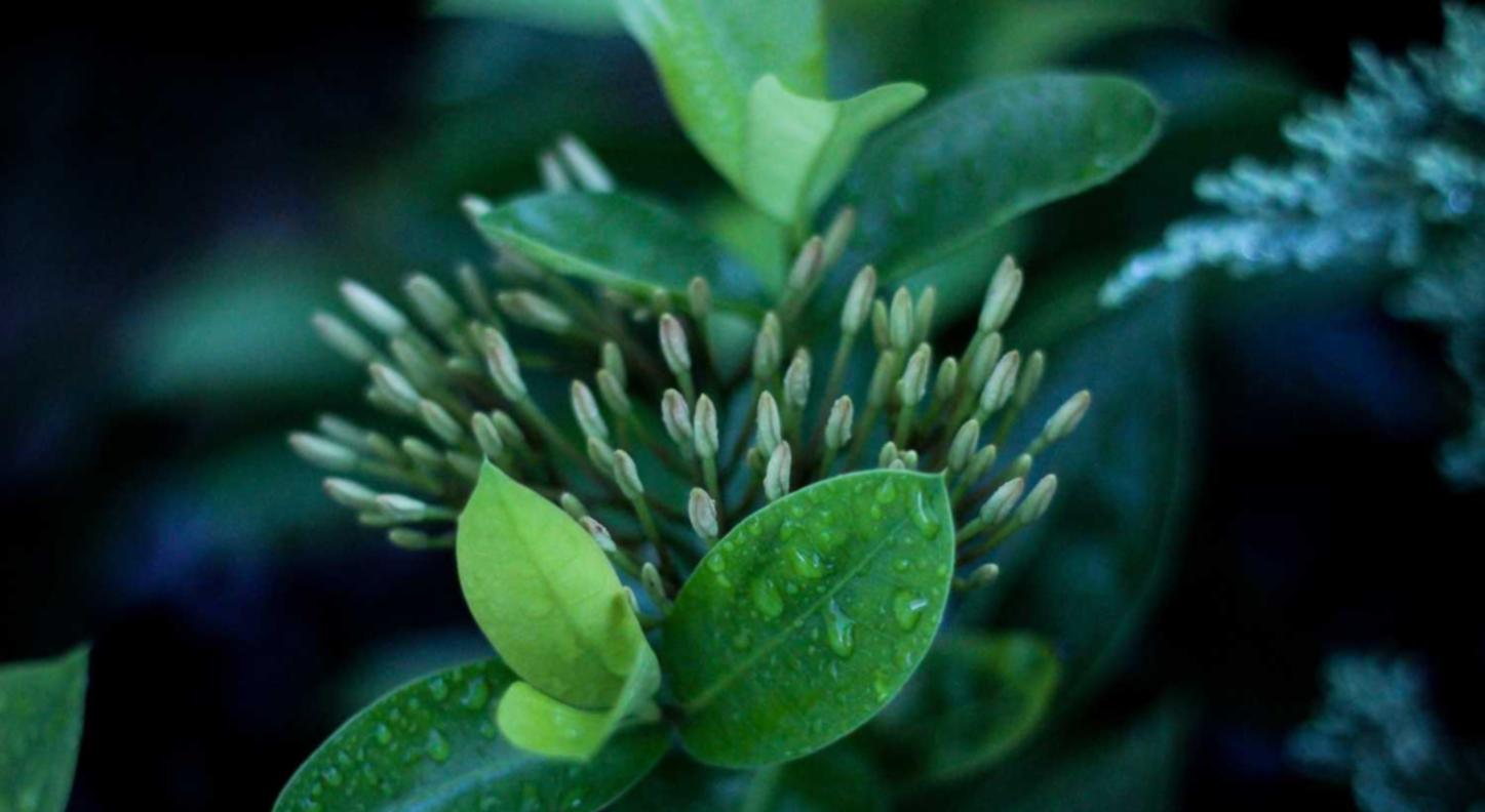 豪利时葡萄双爆珠:丧尸派对一直无法注册账号