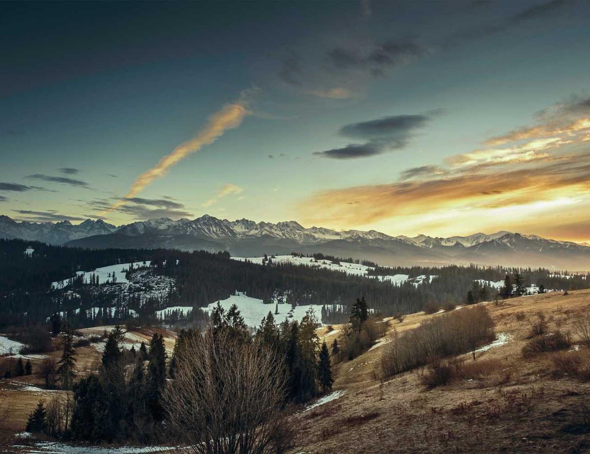 世界弹珠物语:代理注册公司靠谱代理注册