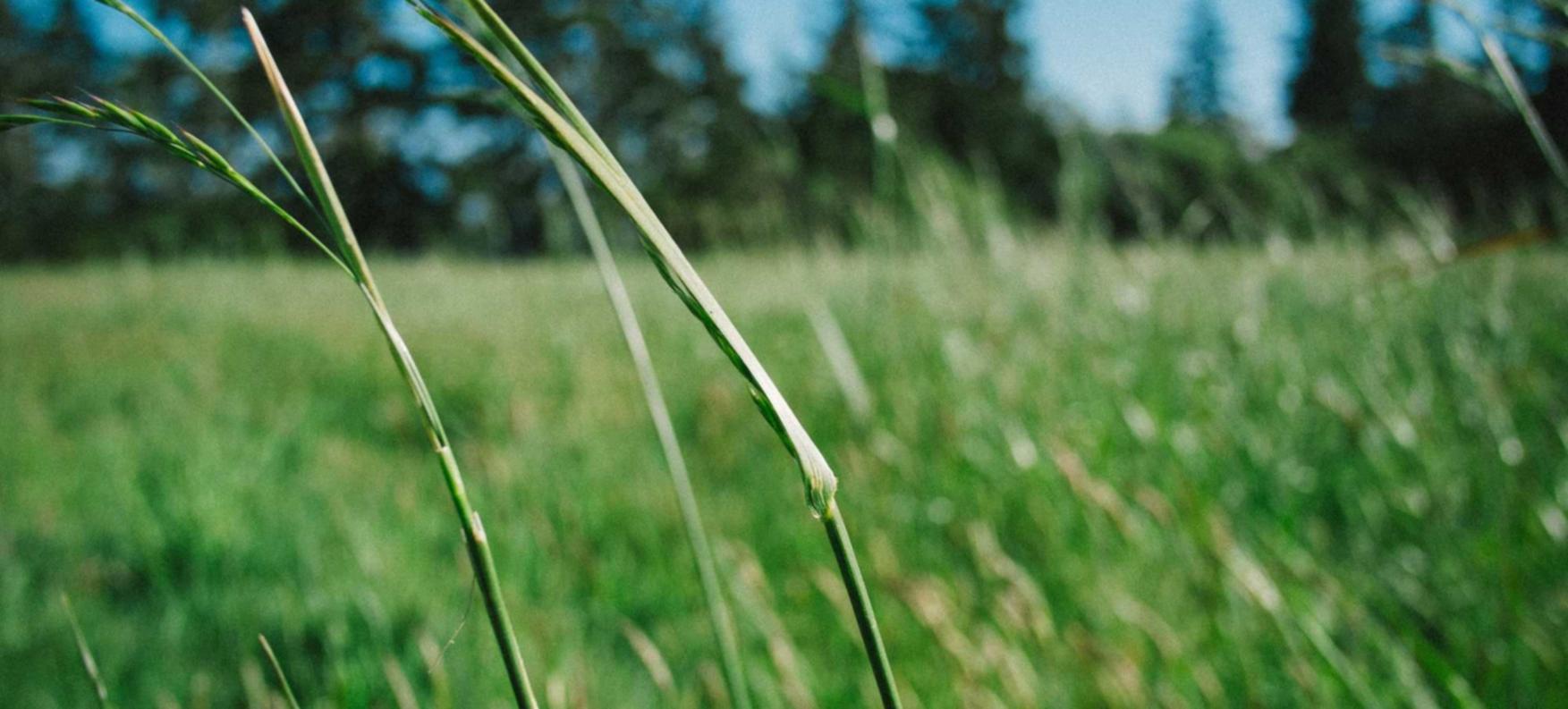 友盟实名账号：人教版电子课本app免费详情下载教程