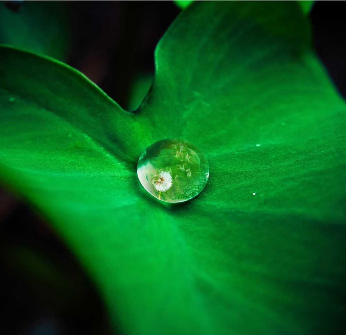 如何利用论坛提高企业营销成功率