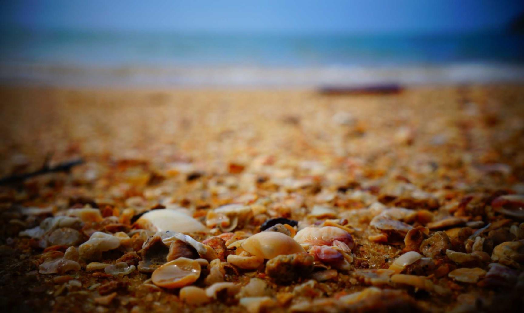 百纵科技实名账号：掌创互联代理平台