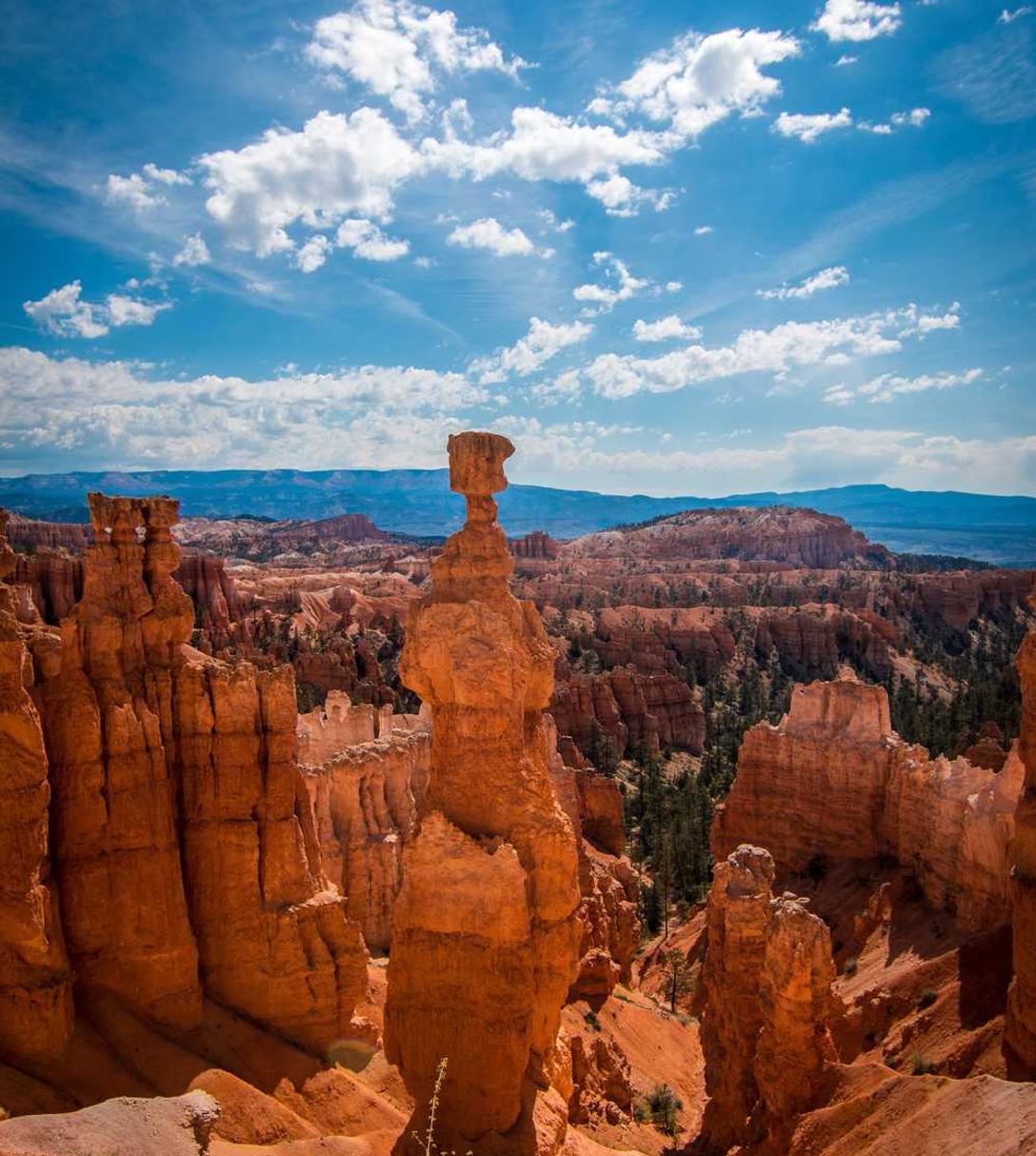 多途云- 龙8娱乐app详情下载教程