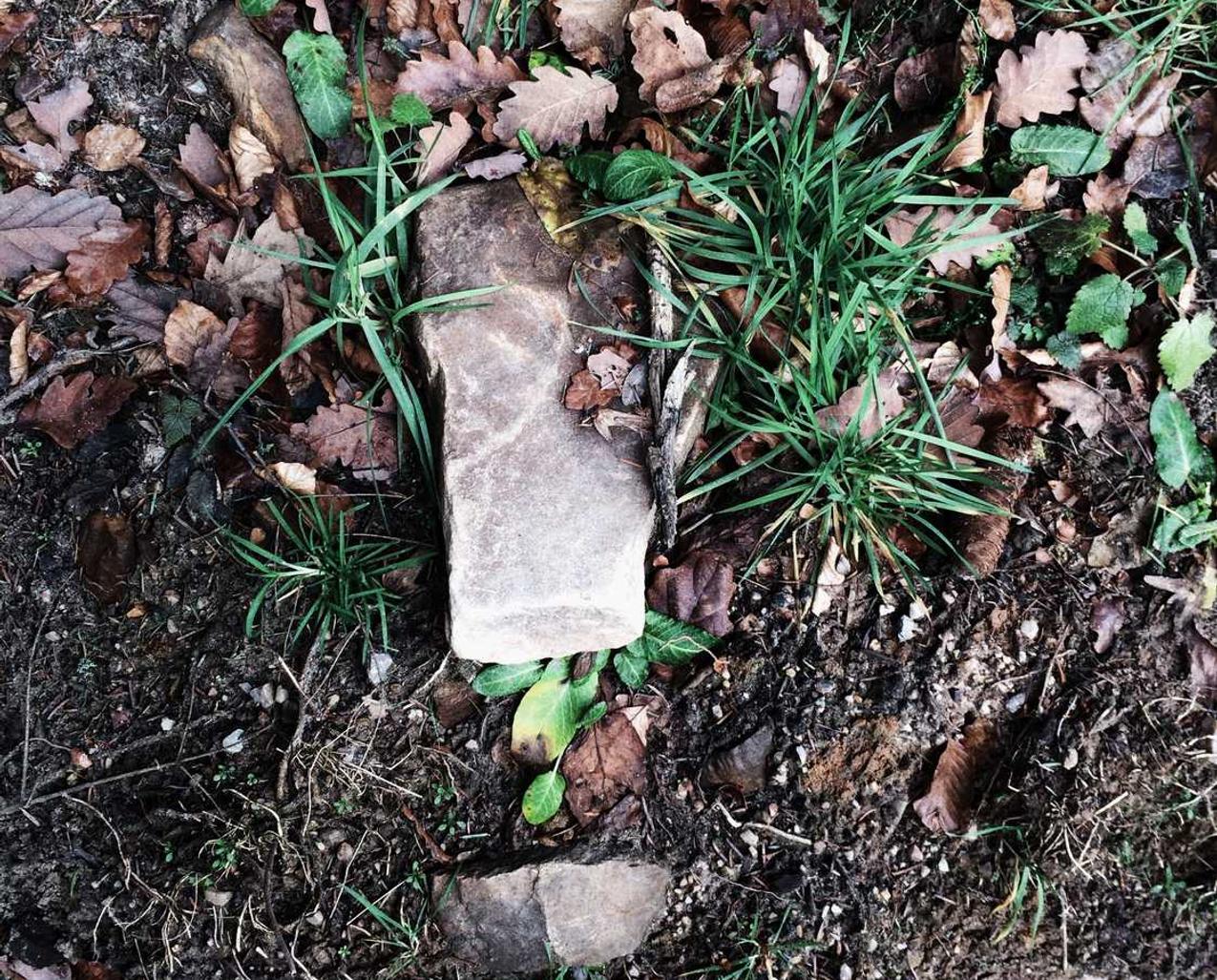 探探实名账号:527平台代理