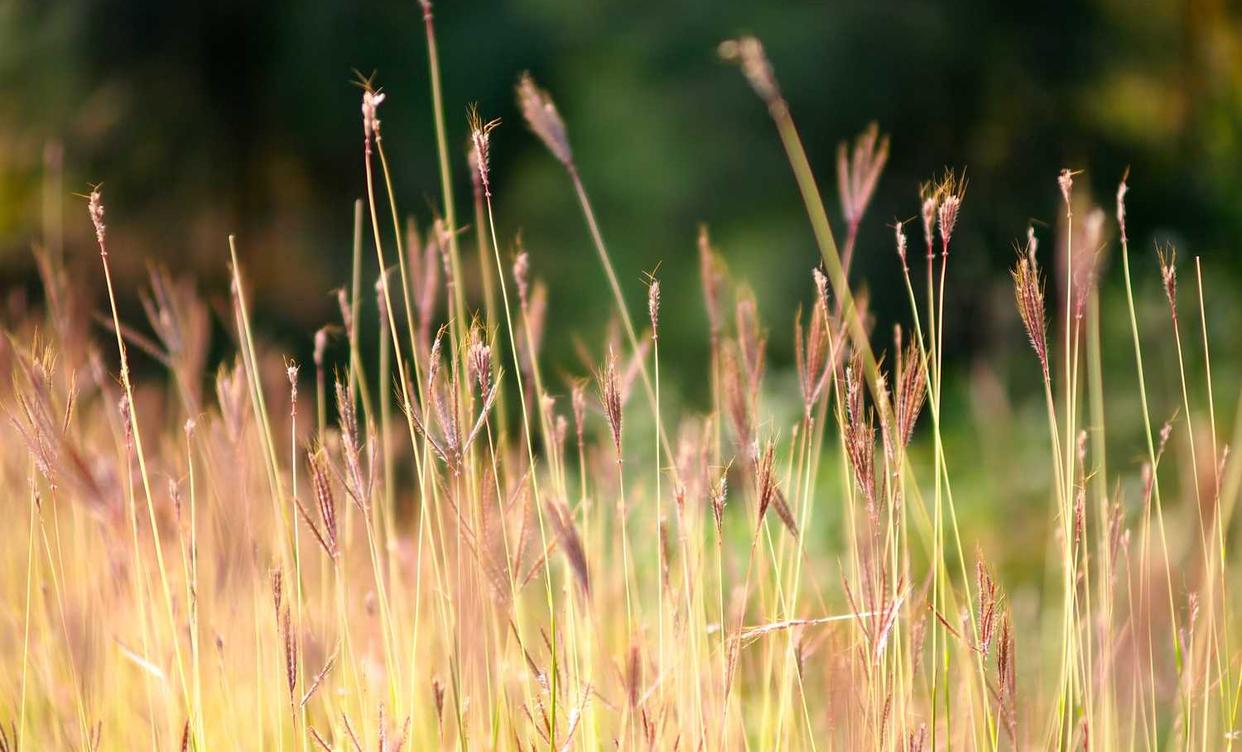 稳定的双语服务团队上家:贴吧号购买平台