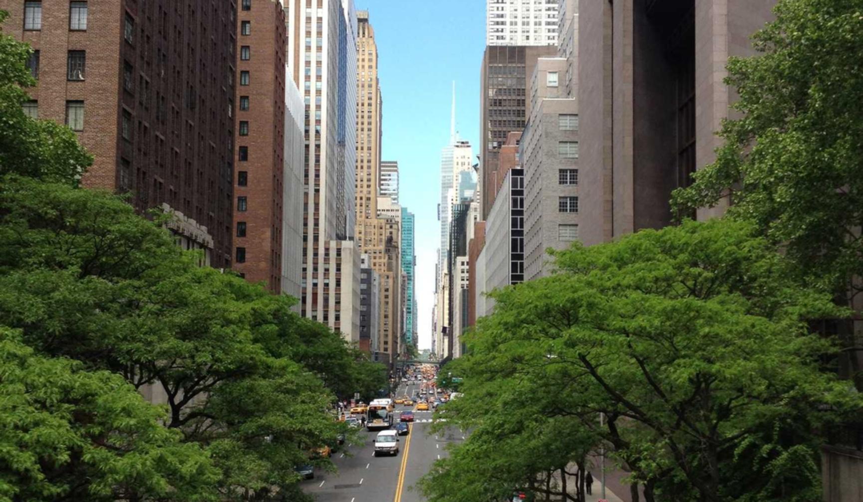 如何对技术支持辅助用户进行处罚?