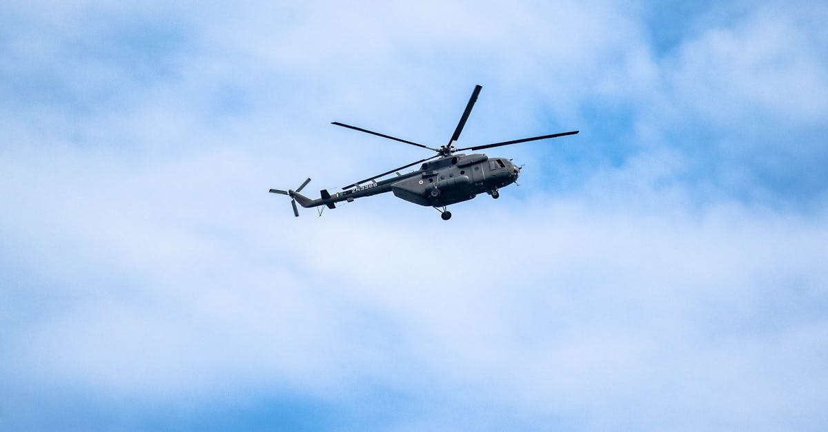 贝纳查比华士 Brevas（12支）：工商代理注册公司新规定